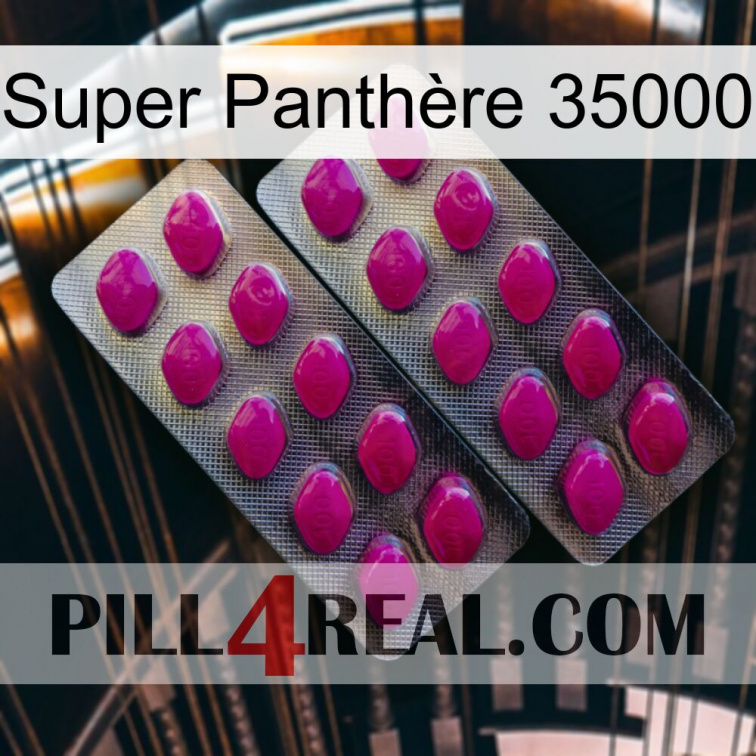 Super Panthère 35000 10